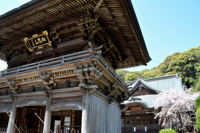 向陽山　明徳寺(みょうとくじ)_e0056537_10172088.jpg