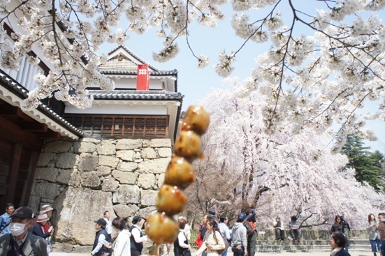 上田城跡の千本桜祭りへ出陣　その１_f0368538_16584891.jpg