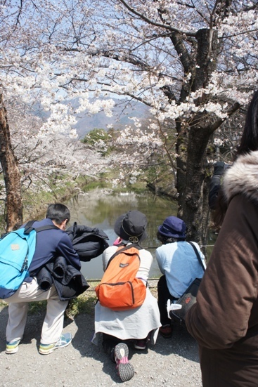 上田城跡の千本桜祭りへ出陣　その１_f0368538_17004549.jpg