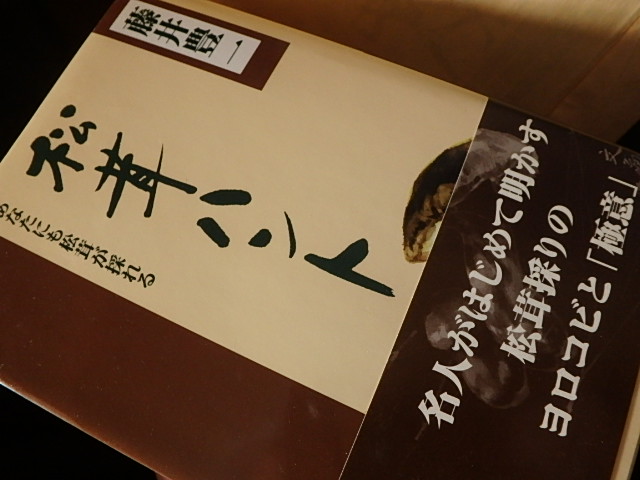 f0334143_8472076.jpg