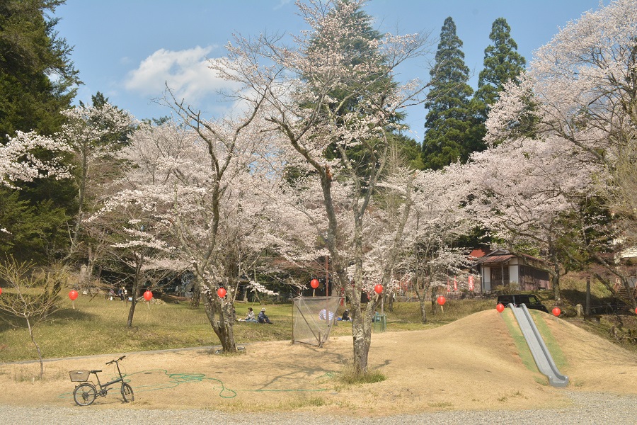 a0055650_1040345.jpg