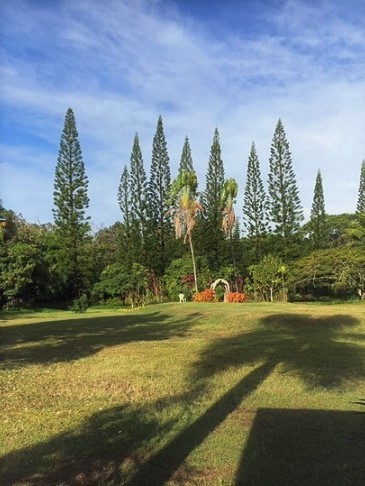 b0173754_10251138.jpg