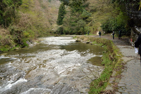 南房総　お一人様限定の旅_b0016557_1714060.jpg