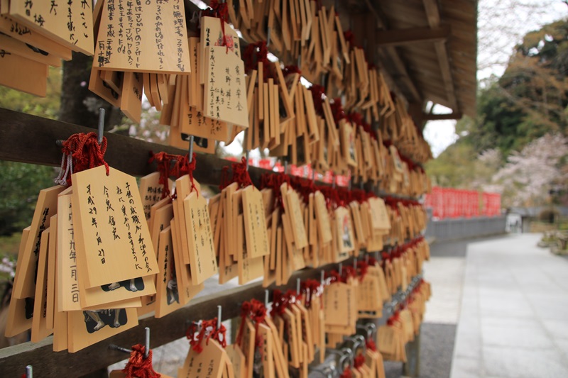 法多山でお花見・３♪_a0167759_16111846.jpg