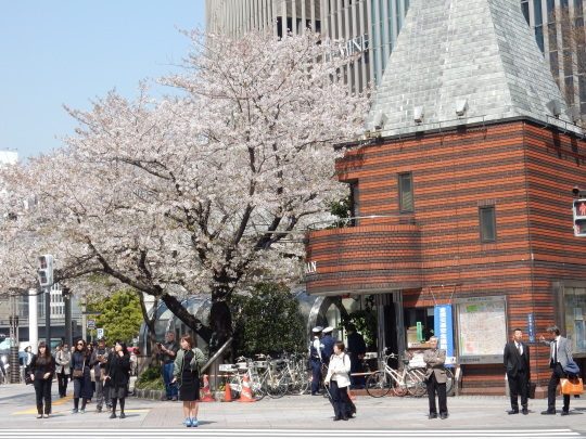 ’17,4,15(土)激しく変貌している東京・銀座!_f0060461_10542225.jpg