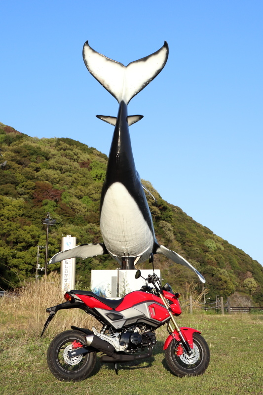 なか卯 32号高知葛島店_a0077663_08054404.jpg