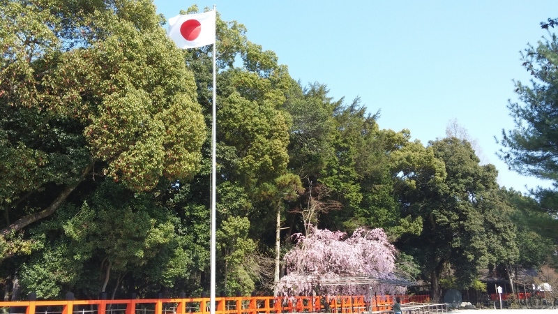 上賀茂神社へ_b0366766_12583897.jpg