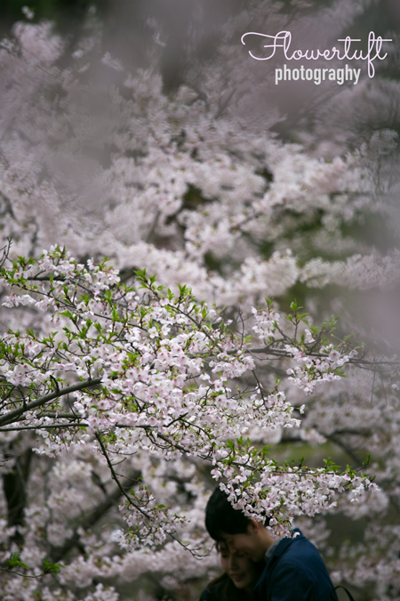桜の木の下で_c0137872_18433576.jpg