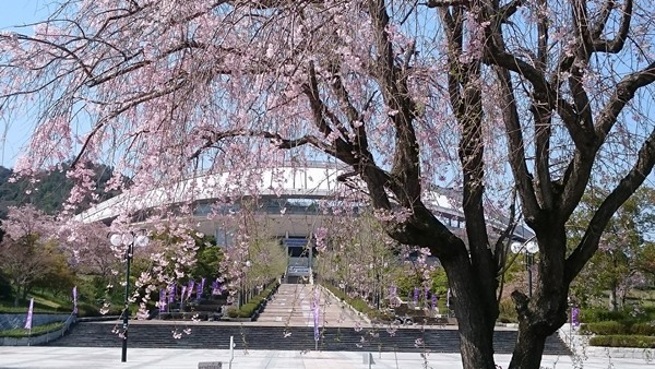 広島広域公園の桜吹雪とランニングコース_d0358272_00155421.jpg