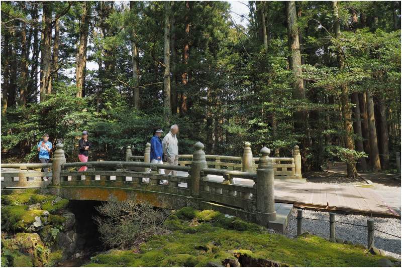 弥彦神社_a0079473_027552.jpg