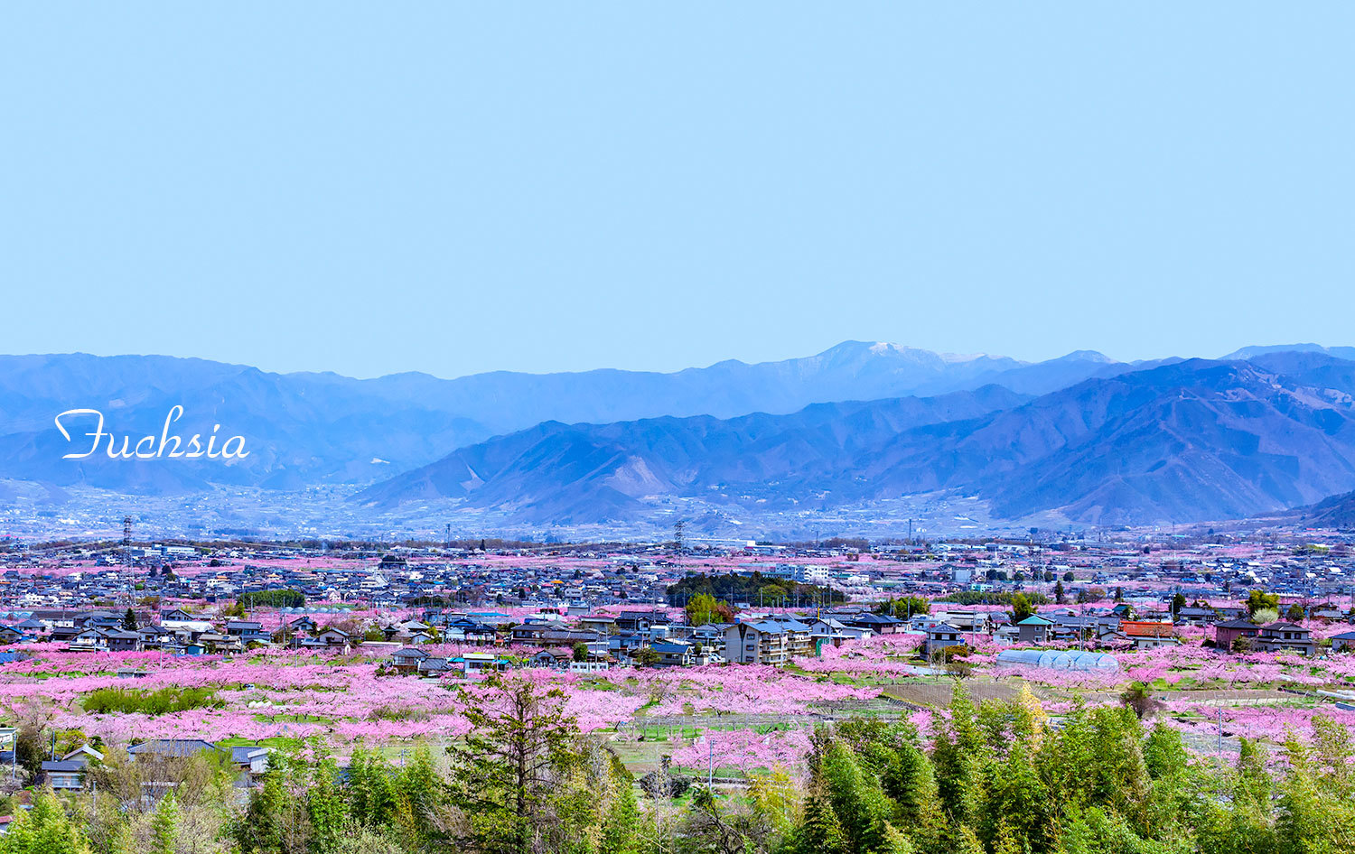 f0127273_14195962.jpg