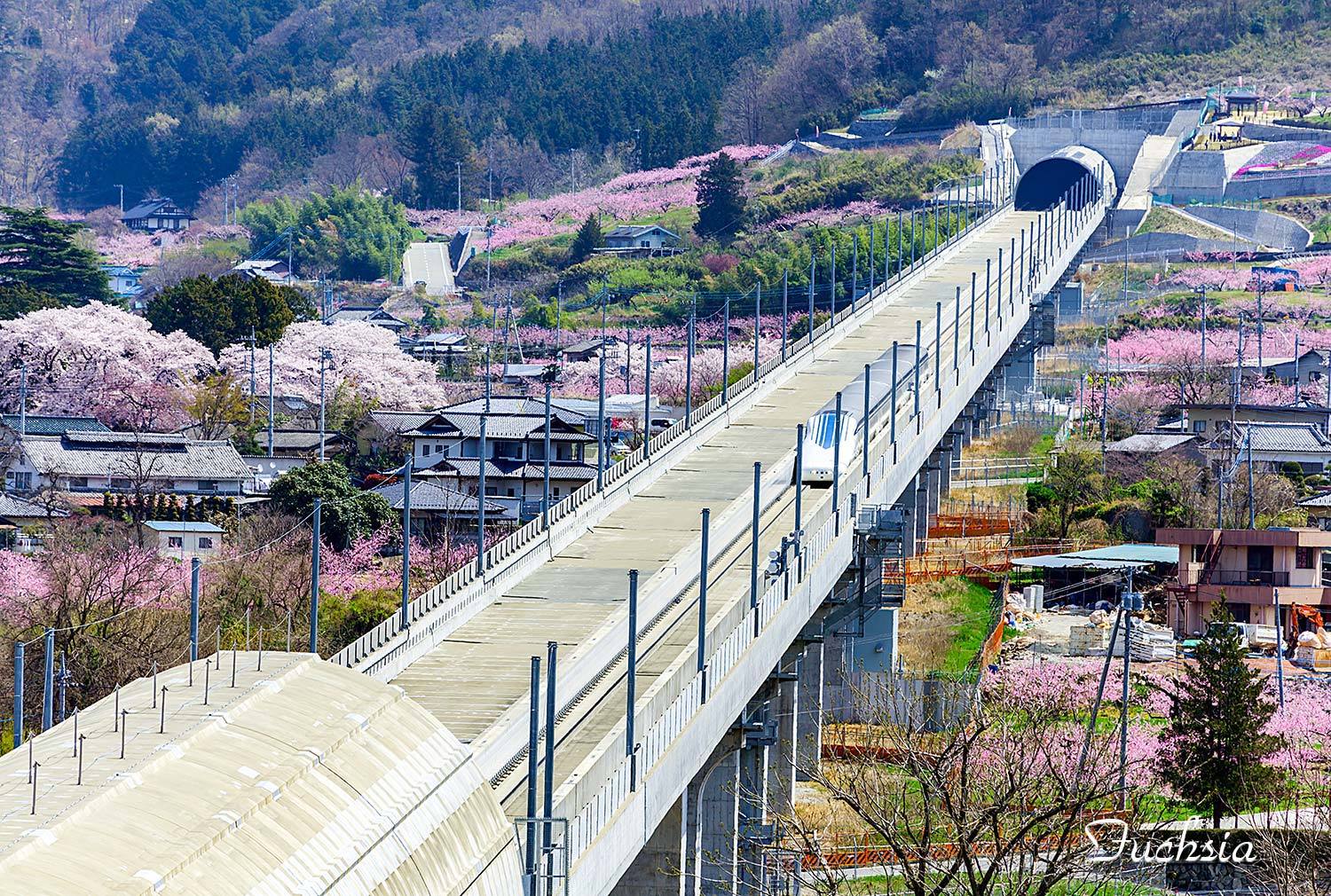 f0127273_17022262.jpg