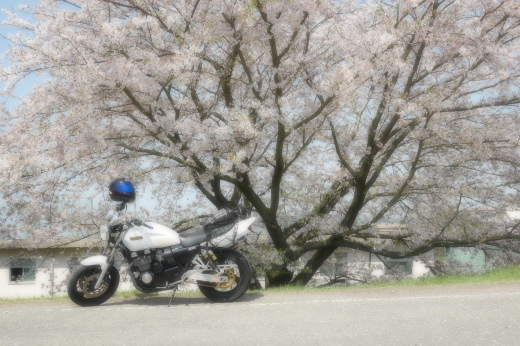 桜ツーリング_b0163075_18111634.jpg