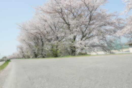 桜ツーリング_b0163075_18121294.jpg