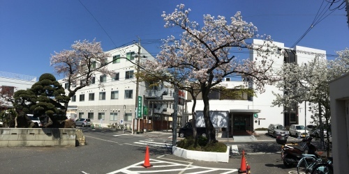 当院の桜が満開です！！_b0324976_09443272.jpg