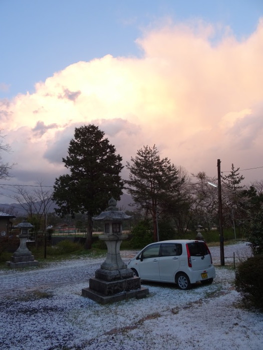 ヒョウが降り・・・！！　桜の満開の季節が終わる。　　　２０１７．４．１５_c0153880_20012622.jpg