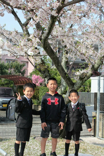 2017 善柔館育成会総会_b0172494_17120784.jpg