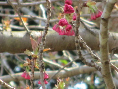a0206695_13562868.jpg