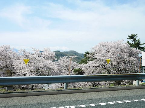 蓼科に来ています。サブっ!_c0090198_18413277.jpg