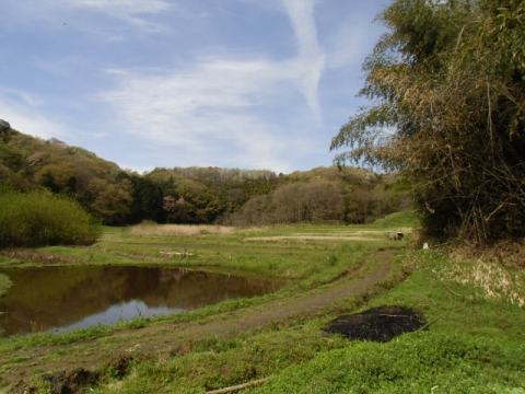 e0270403_16001111.jpg