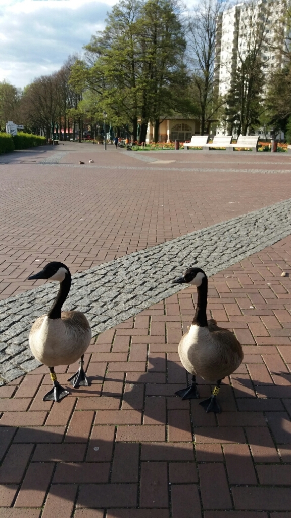 e0149604_17351879.jpg