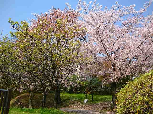 f0050105_19023521.jpg