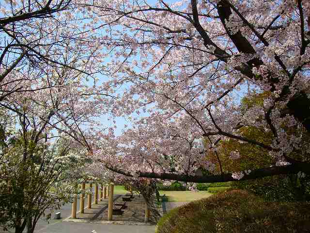 f0050105_19024508.jpg