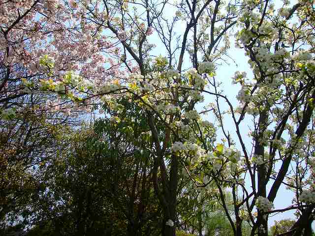 f0050105_19030281.jpg