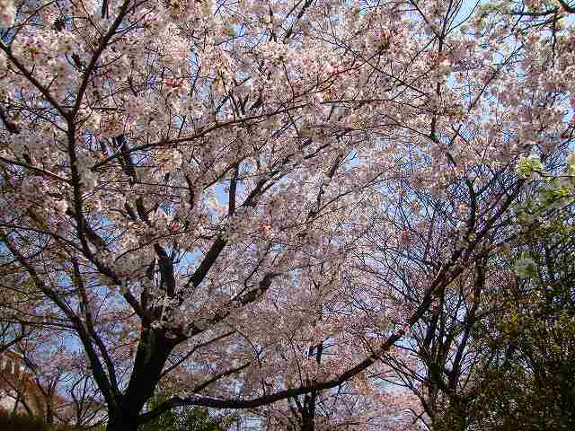 f0050105_19031892.jpg