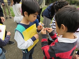 すみればの春まつり開催しました！_b0049307_13090014.jpg