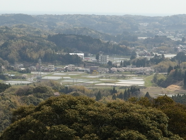 c0022113_16112550.jpg
