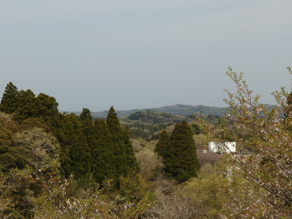 c0022113_16122381.jpg