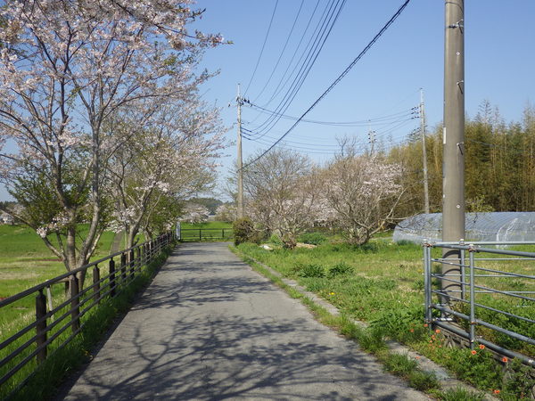 c0022113_16252614.jpg