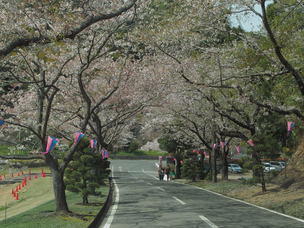 c0022113_22482670.jpg
