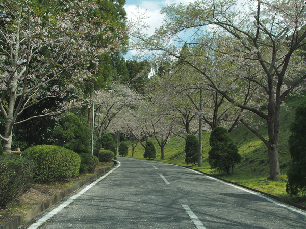 c0022113_22493259.jpg