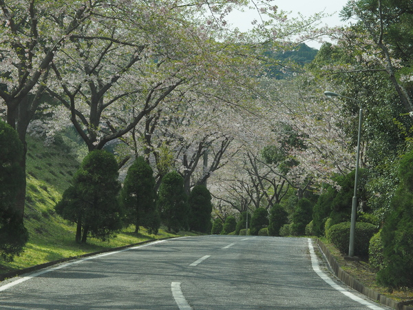 c0022113_22501123.jpg
