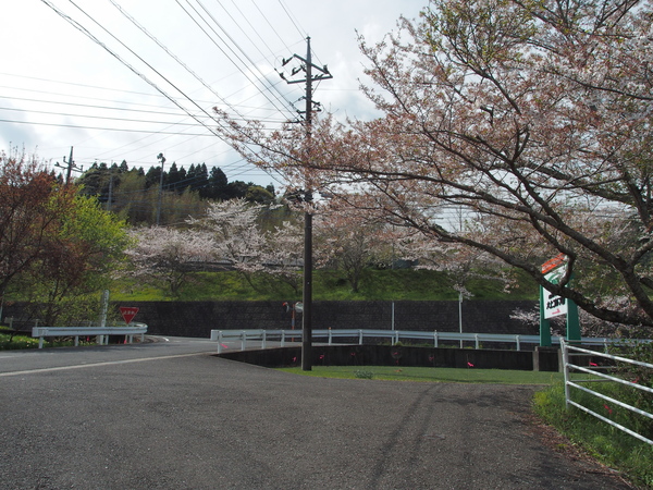 c0022113_22511575.jpg