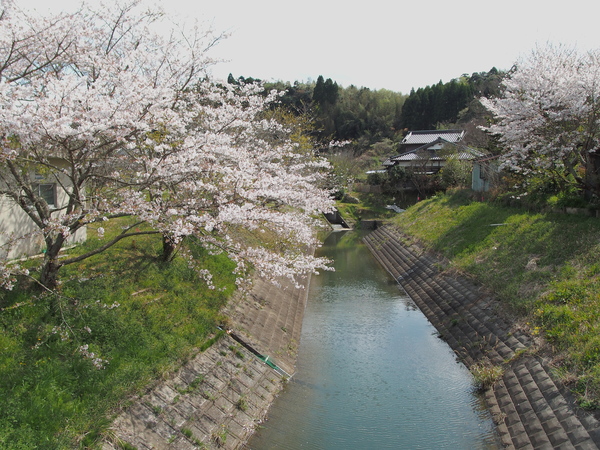 c0022113_2252235.jpg