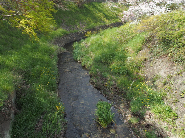 c0022113_2252425.jpg