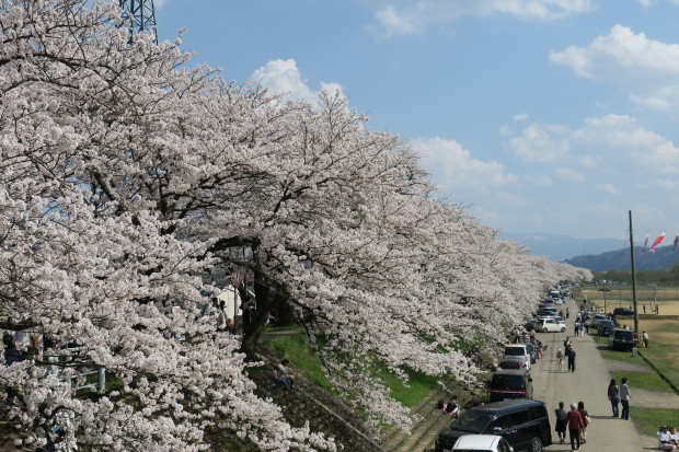 花めぐり♪_d0103314_23215927.jpg