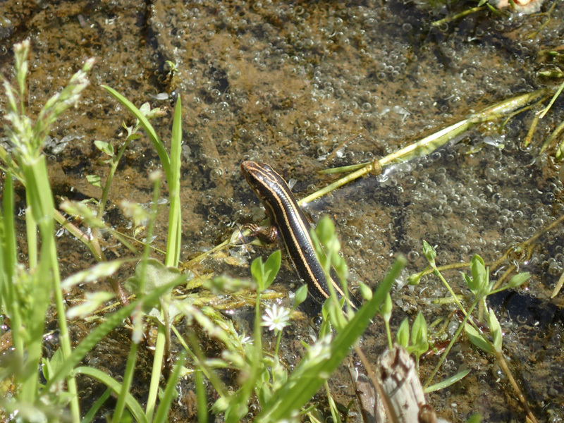 e0189021_22260264.jpg