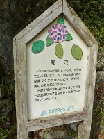 d0006323_02532005.jpg