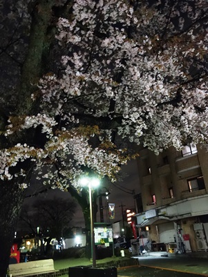 c0204725_013689.jpg