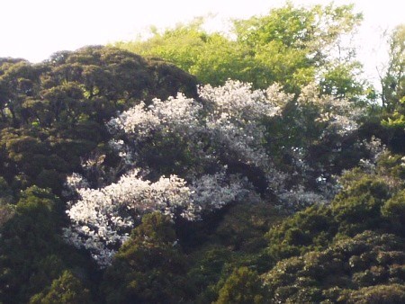 e0122332_00251569.jpg