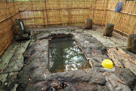 上ノ湯温泉・銀婚湯　温泉編⑤かつらの湯_b0042334_17131047.jpg