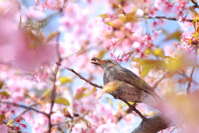 ダメ出し写真館 その27_e0227942_19392998.jpg