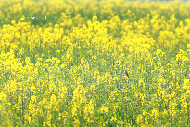 ダメ出し写真館 その27_e0227942_19424187.jpg