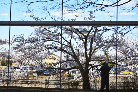 c0093046_17342346.gif