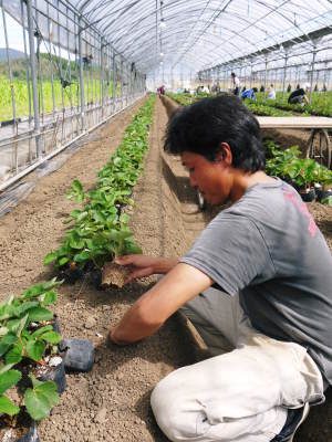 熊本地震から1年！「こんな時だからこそ良いものを出そう！」そんな契約農家さんと共に頑張ってきました！_a0254656_18593567.jpg