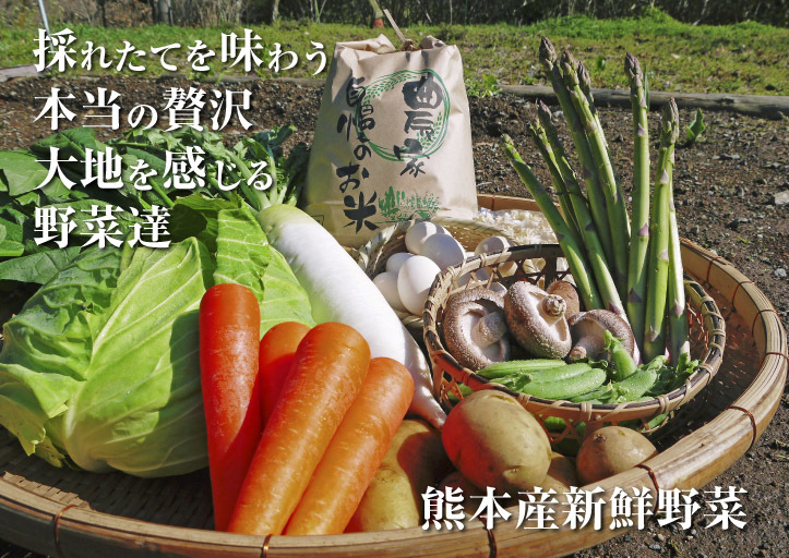 熊本地震から1年！「こんな時だからこそ良いものを出そう！」そんな契約農家さんと共に頑張ってきました！_a0254656_19161889.jpg